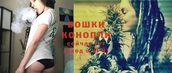 прущие грибы Аркадак