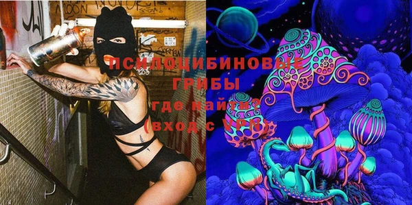 прущие грибы Аркадак