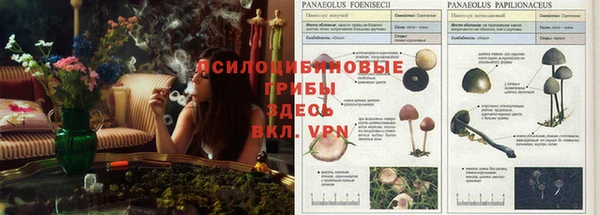 дистиллят марихуана Армянск