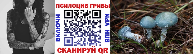 Галлюциногенные грибы мицелий Каргополь